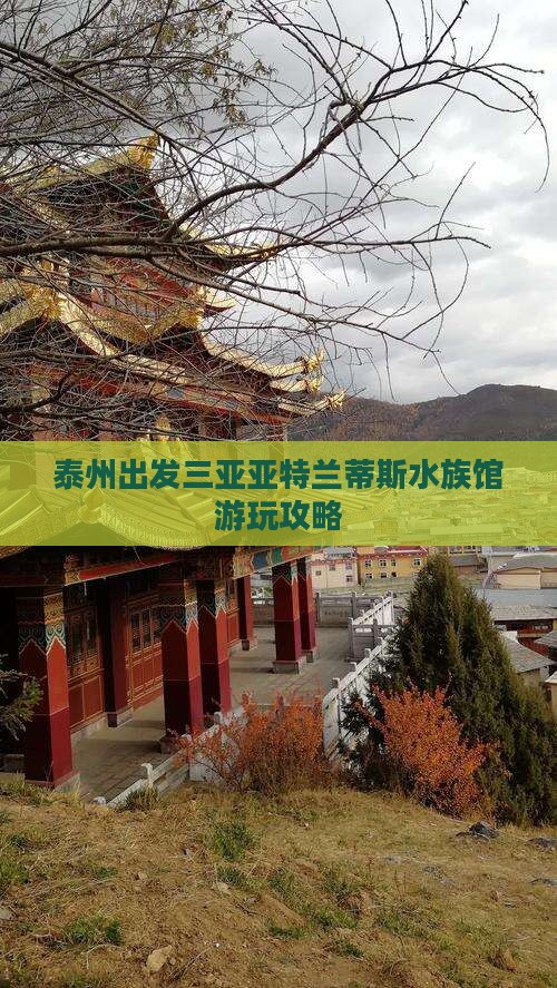泰州出发三亚亚特兰蒂斯水族馆个人游