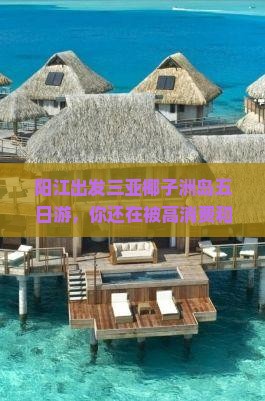 阳江出发三亚椰子洲岛五日游