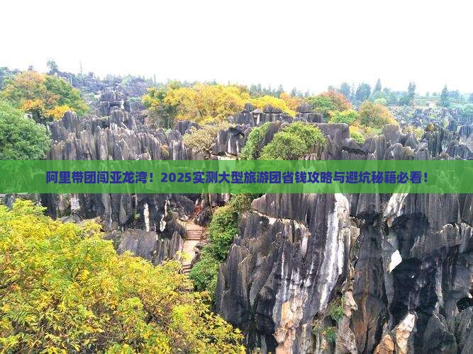 阿里前往三亚亚龙湾热带森林公园大型旅游团