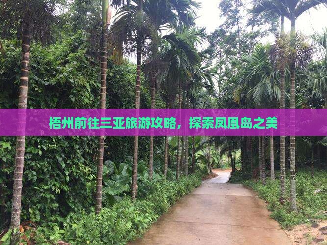 梧州前往三亚凤凰岛旅游