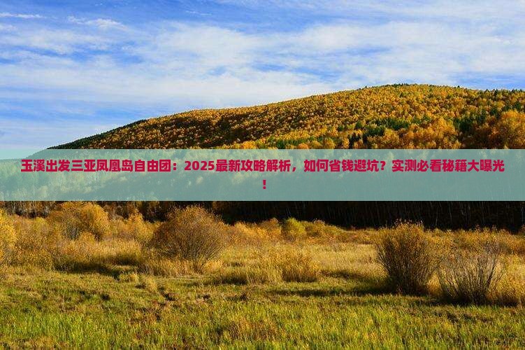 玉溪出发三亚凤凰岛自由团