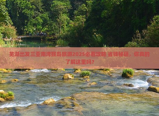 芜湖出发三亚南湾猴岛旅游