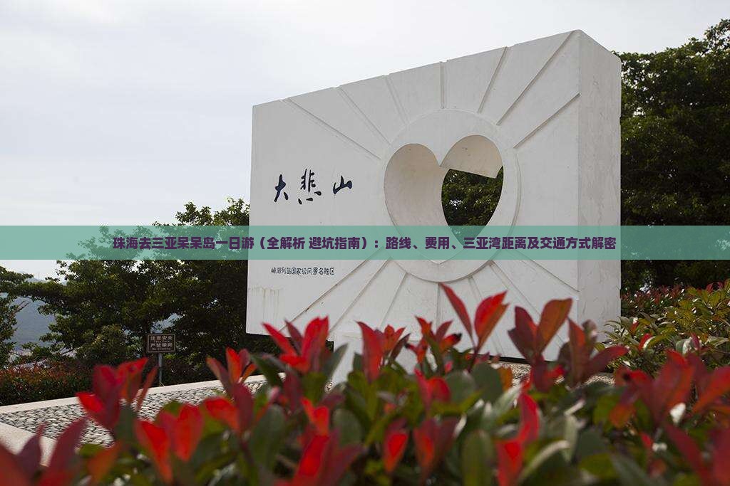珠海去三亚呆呆岛一日游
