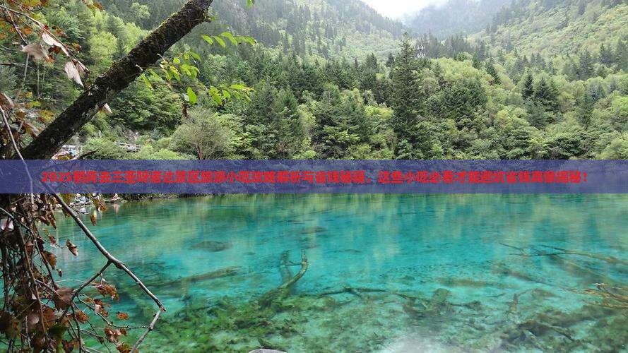 鹤岗去三亚呀诺达景区旅游小吃