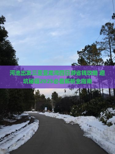 河池出发三亚亚龙湾四日游