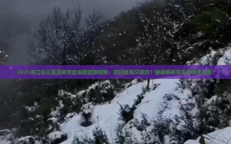 海口去三亚海棠湾自由团