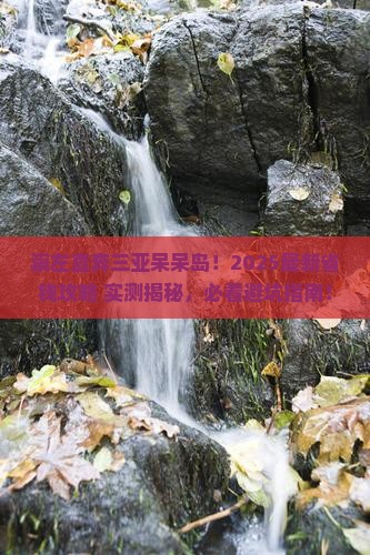崇左去三亚呆呆岛自由团