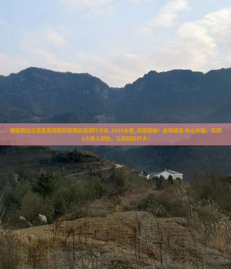 楚雄前往三亚亚龙湾国际玫瑰谷旅游打卡点