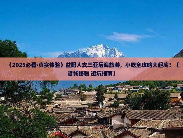 益阳去三亚后海旅游小吃