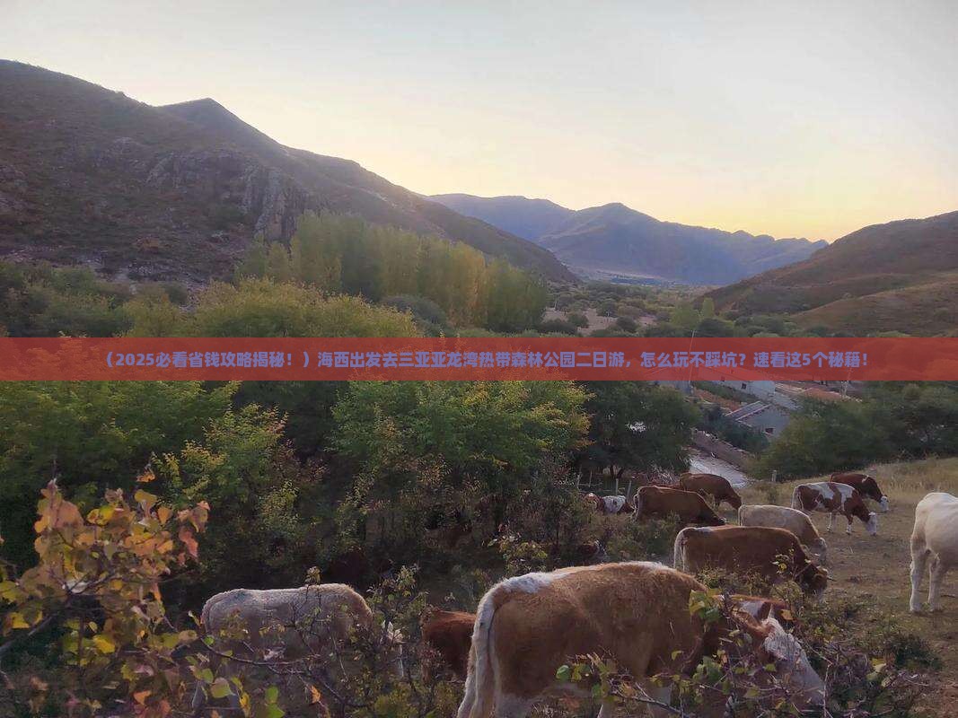 海西去三亚亚龙湾热带森林公园二日游