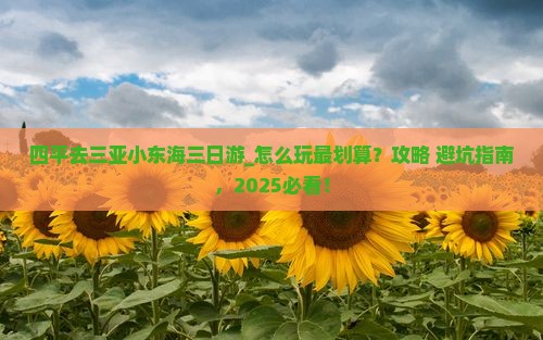 四平去三亚小东海三日游