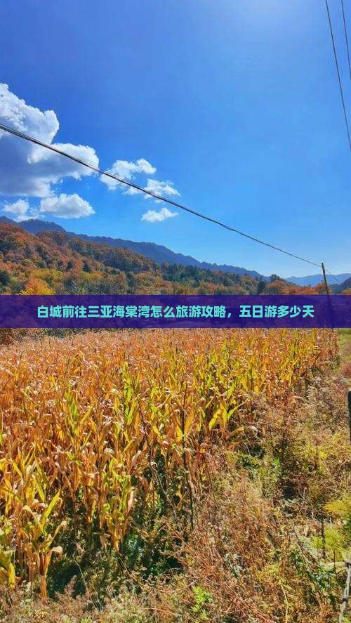 白城前往三亚海棠湾五日游