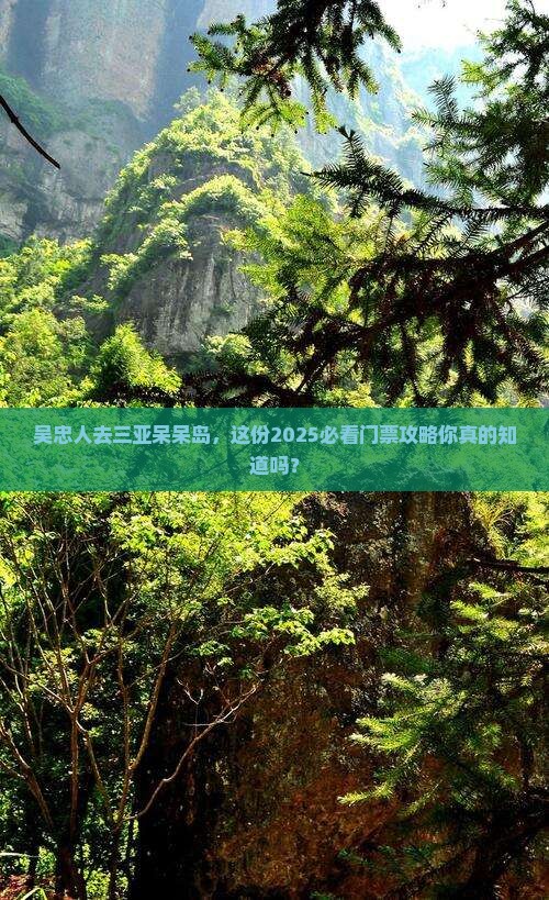 吴忠去三亚呆呆岛门票