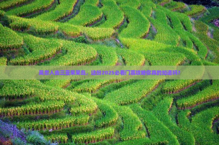 吴忠去三亚呆呆岛门票