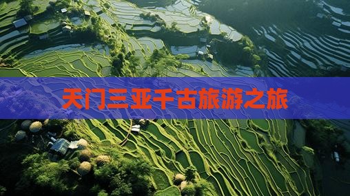 天门去三亚千古情旅行社