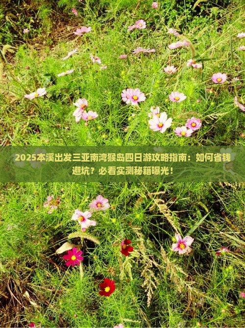 本溪出发三亚南湾猴岛四日游