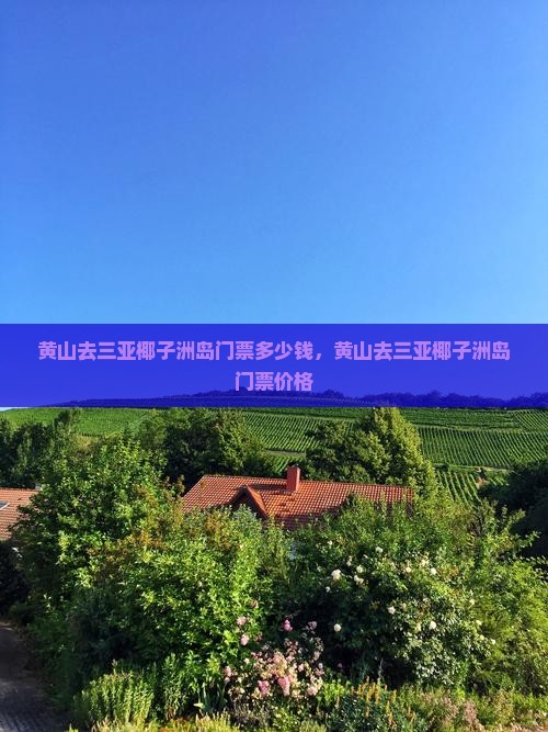 黄山去三亚椰子洲岛门票