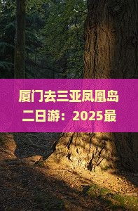 厦门去三亚凤凰岛二日游