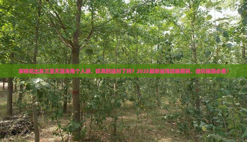 攀枝花出发三亚天涯海角个人游
