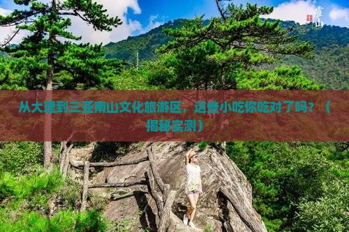 大理去三亚南山文化旅游区旅游小吃