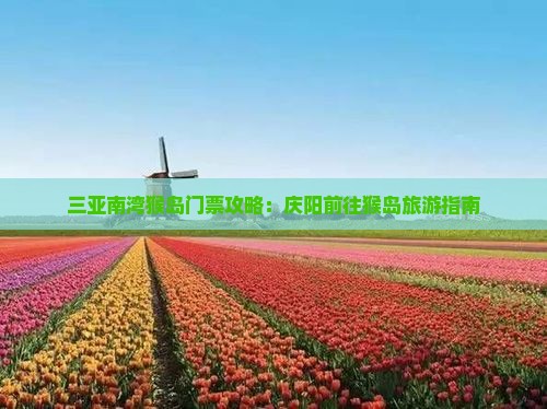 庆阳前往三亚南湾猴岛门票
