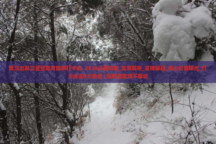 武汉出发三亚亚龙湾旅游打卡点