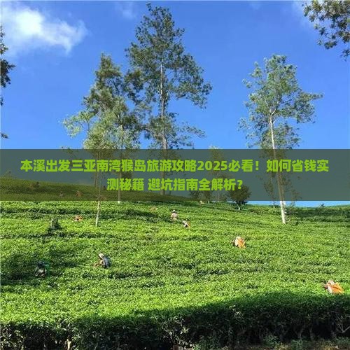 本溪出发三亚南湾猴岛旅游网红地点
