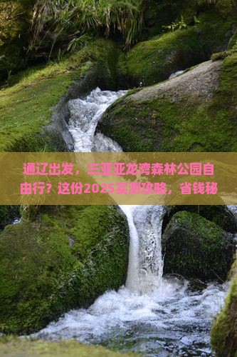 通辽市前往三亚亚龙湾热带森林公园自由行
