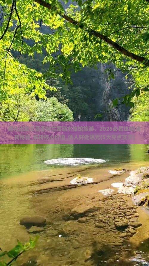 通化出发三亚亚特兰蒂斯水族馆旅游