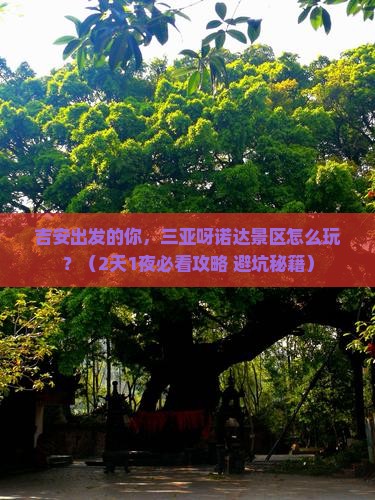 吉安出发三亚呀诺达景区旅游打卡点 吉安出发三亚呀诺达景区旅游打卡点