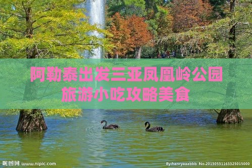 阿勒泰出发三亚凤凰岭公园旅游小吃