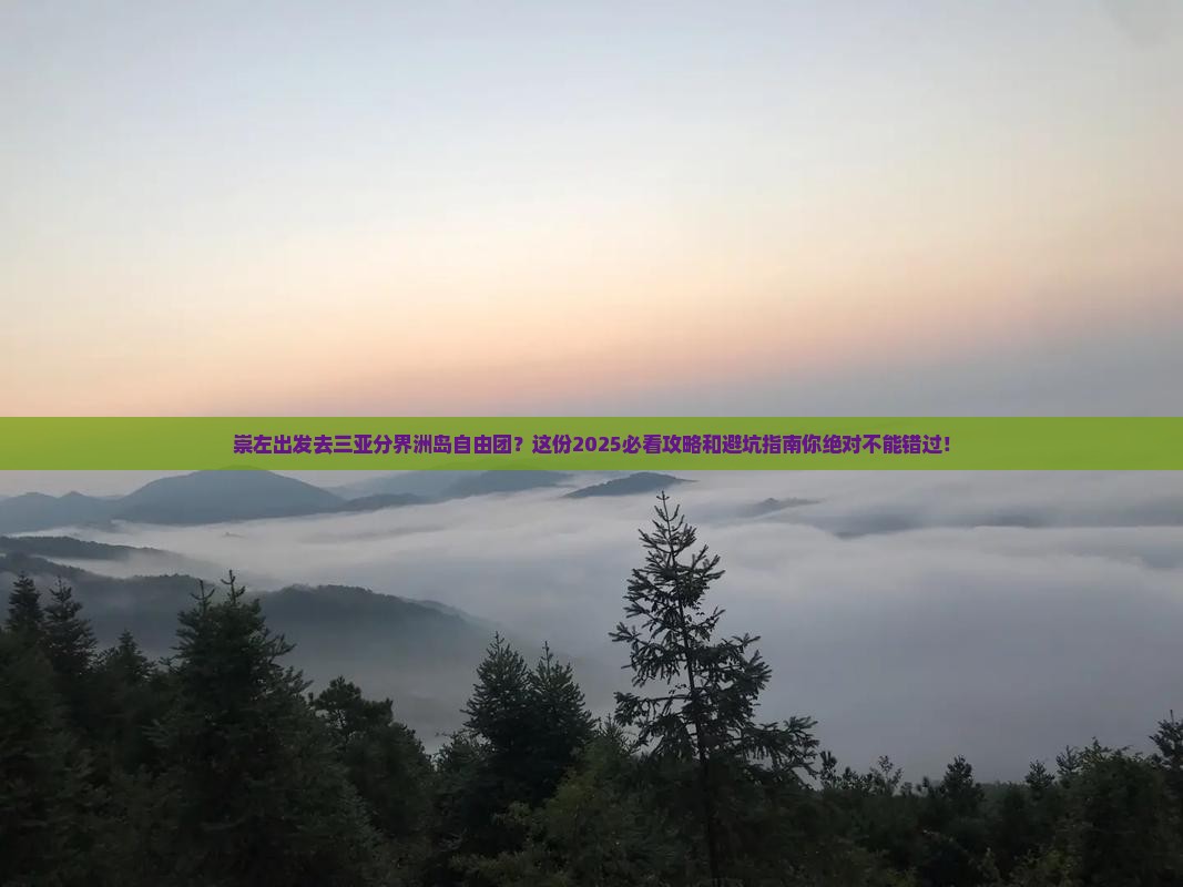 崇左前往三亚分界洲岛自由团