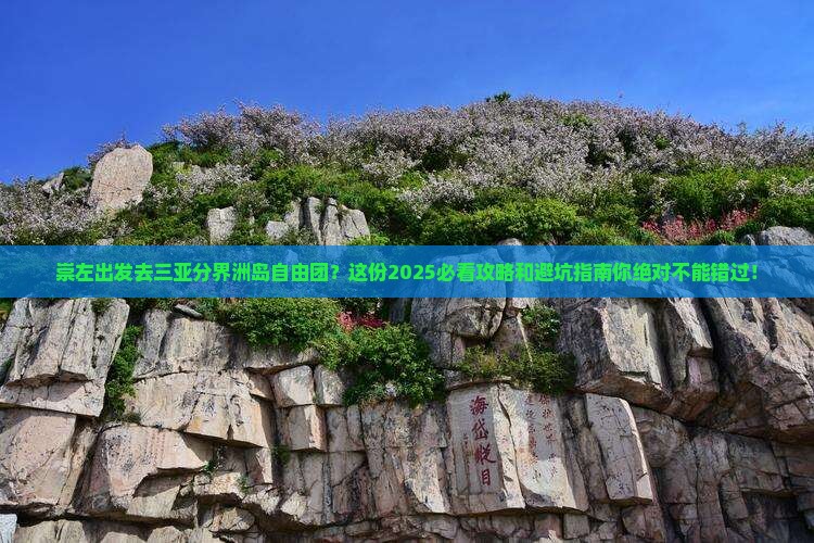 崇左前往三亚分界洲岛自由团