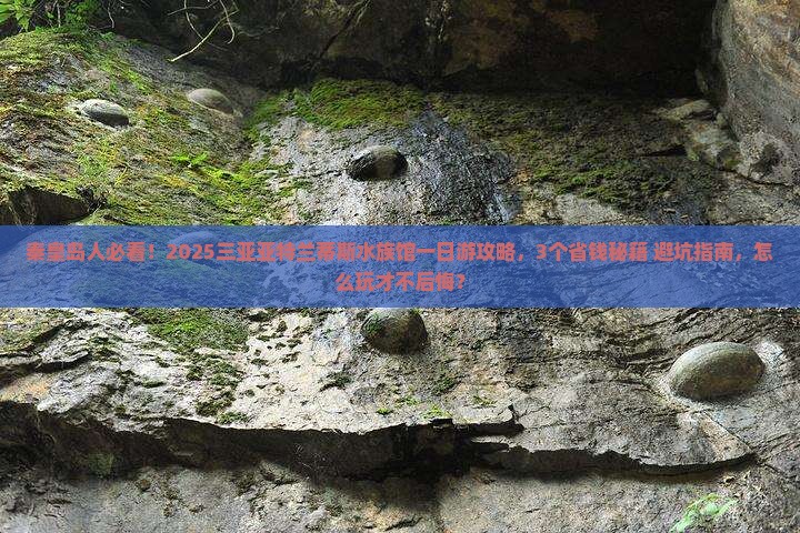 秦皇岛去三亚亚特兰蒂斯水族馆一日游