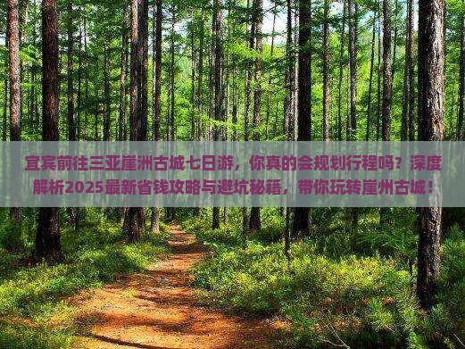 宜宾前往三亚崖洲古城七日游