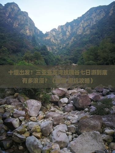 十堰前往三亚亚龙湾国际玫瑰谷七日游