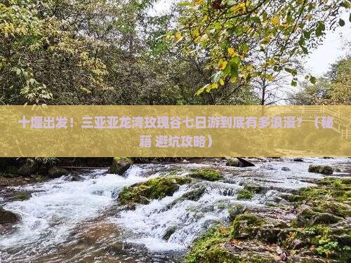 十堰前往三亚亚龙湾国际玫瑰谷七日游