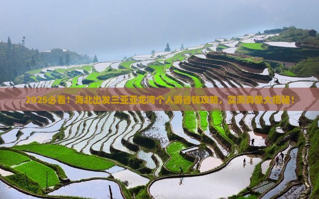 海北出发三亚亚龙湾个人游