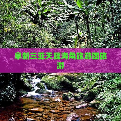 阜新前往三亚天涯海角自由团