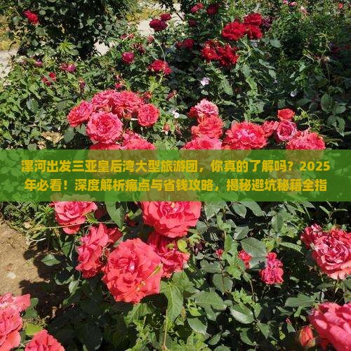 漯河出发三亚皇后湾大型旅游团