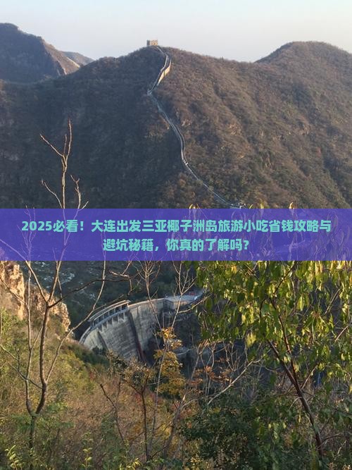 大连出发三亚椰子洲岛旅游小吃