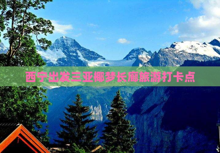 西宁出发三亚椰梦长廊旅游打卡点