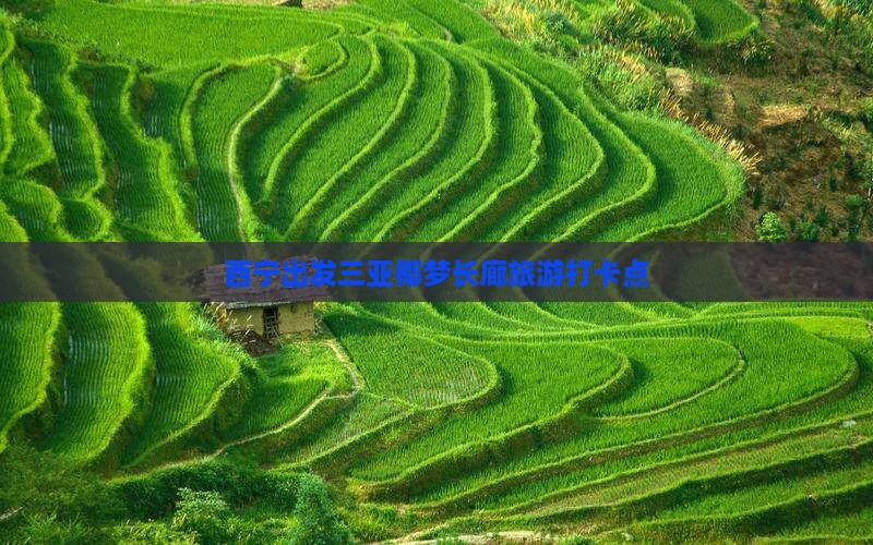 西宁出发三亚椰梦长廊旅游打卡点