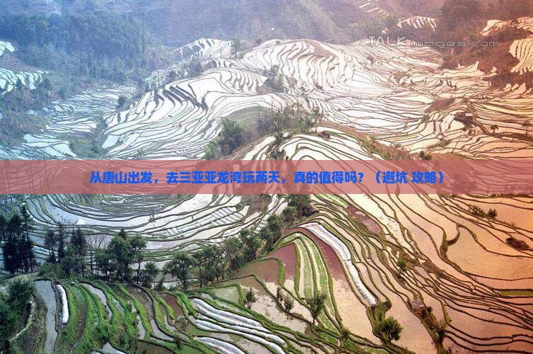 唐山前往三亚亚龙湾国际玫瑰谷二日游