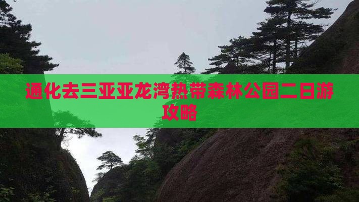 通化去三亚亚龙湾热带森林公园二日游
