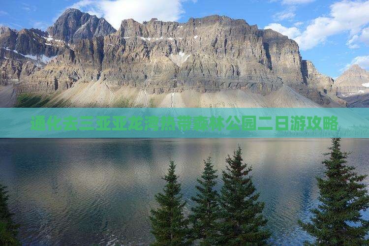 通化去三亚亚龙湾热带森林公园二日游