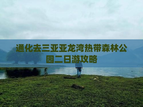 通化去三亚亚龙湾热带森林公园二日游