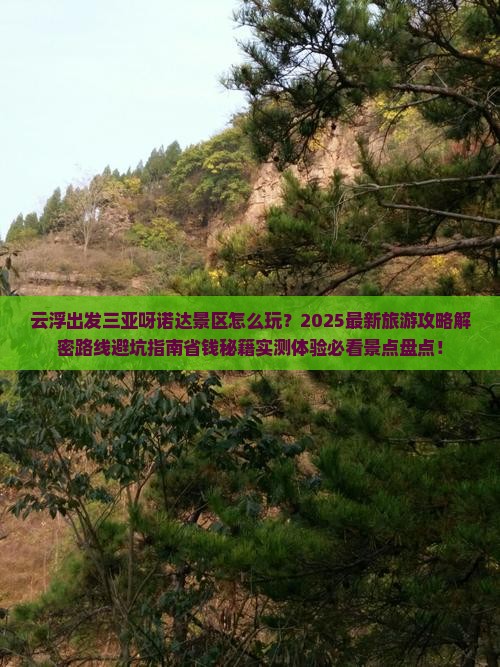 云浮出发三亚呀诺达景区旅游