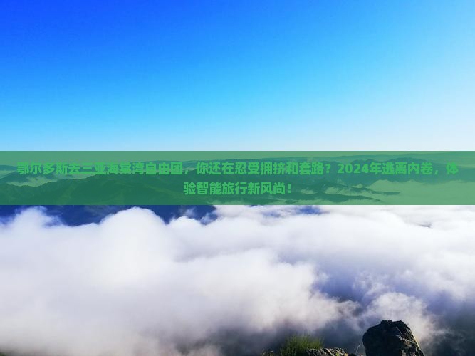 鄂尔多斯去三亚海棠湾自由团