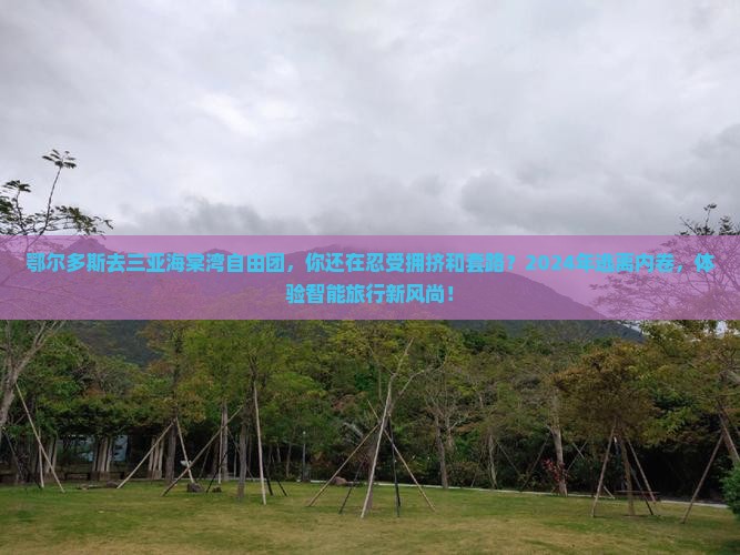 鄂尔多斯去三亚海棠湾自由团